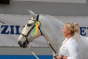 Foto: Anneke Nies - Van der Goes